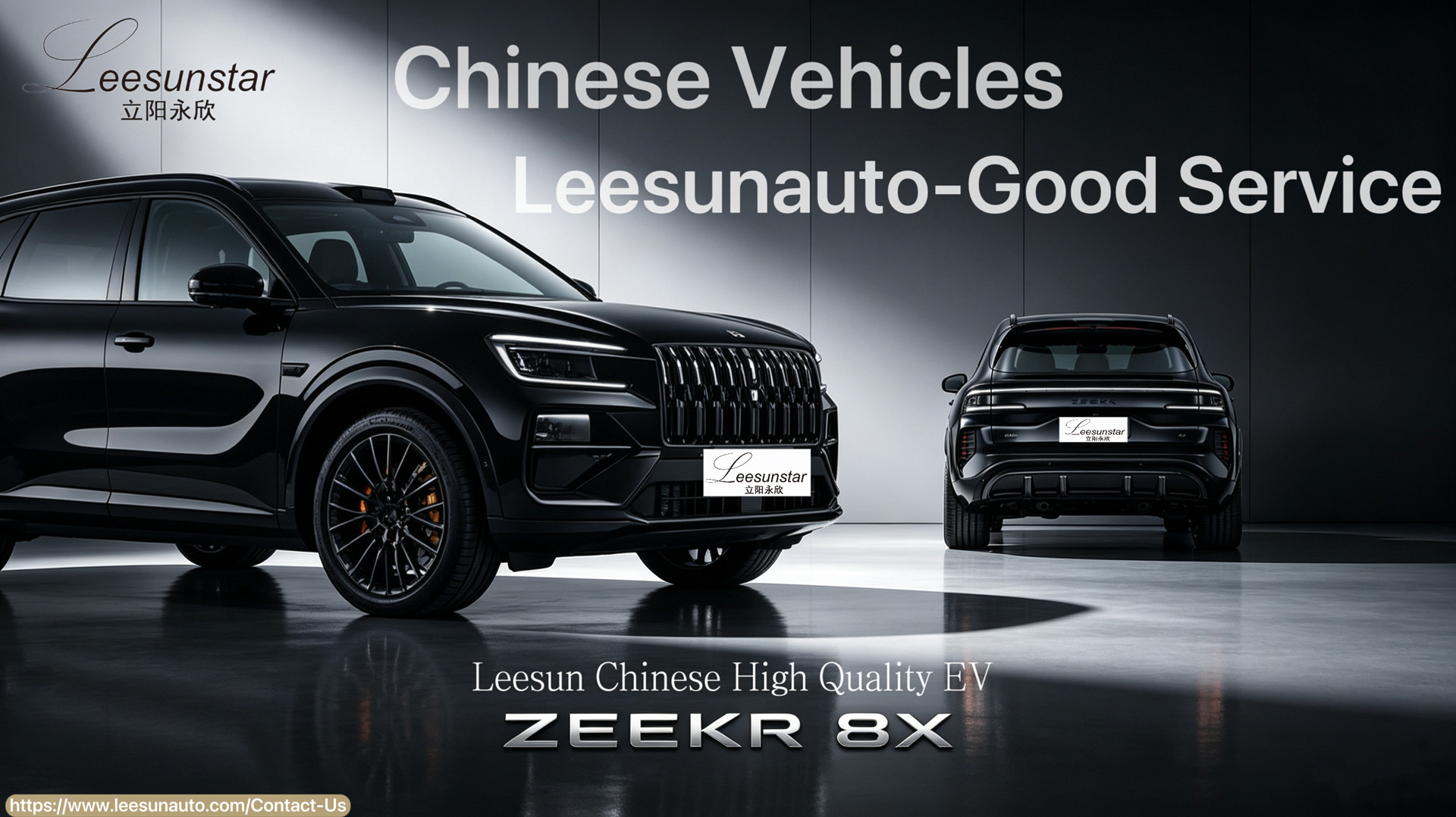Leesunauto-High Quality Chinese Vehicles