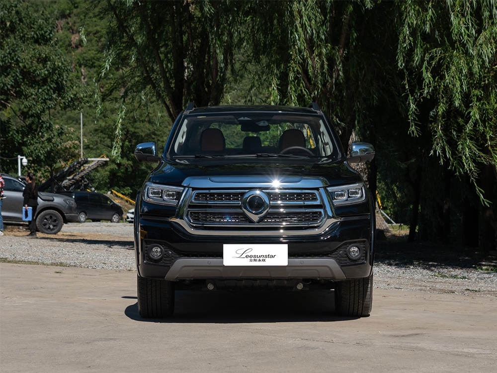 The Great Wall POER 2024